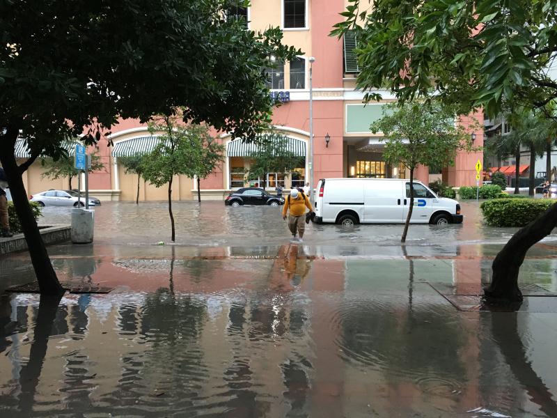 Sea-Level Rise Susceptibility: Miami
